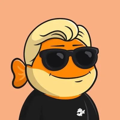 Tidi, Lead Designer